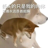 懒狗