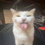 spiki