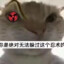 不是哥们