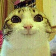 Big Avatar