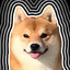 pupsi
