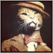 Cat in a fedora