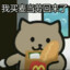 晚安胖猫