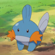 mudkip