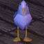 Brid