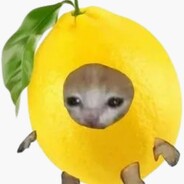 ~lemon_cat~