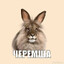 ЧЕРЕМША