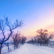 霜111