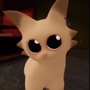 如果突然有一只小猫咪