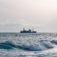 liusandaodaodaokiller