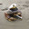 NavyCrab
