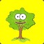 (OG) Ollie the Oak Tree