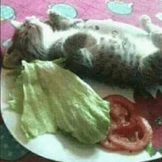 O_O - steam id 76561199040861921