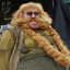 Pan Kapitan