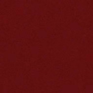 今年可栽枇杷树