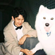 她是我守不住的A小