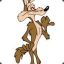 Wile_Coyote1