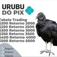 URUBU DO PIX