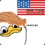 dolan trump