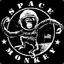 TheSpaceMonkey