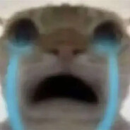 猜猜鼠鼠的哪个孔是头