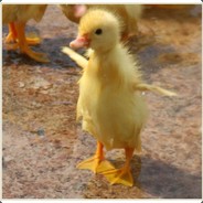 AhmetYigit xD avatar
