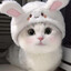 メSherryメ
