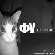 Molodoy