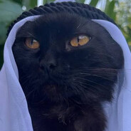 meowshallah