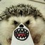 Angry_Hedgehog_1315