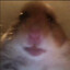 chonkytonkyy