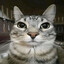 gacek :)