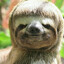 _SLOTH_ avatar