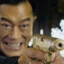 长青橙