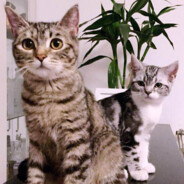 不是负分就知足~