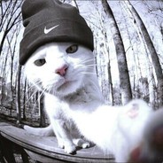 Mr.Beast