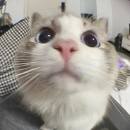 коза дереза