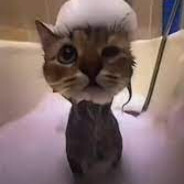 faussaire BTB - steam id 76561199139314218