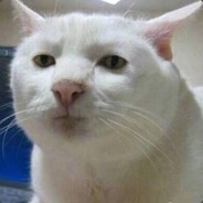 他们说这个游戏不花钱