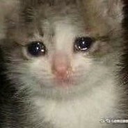 对不过了，小润一会