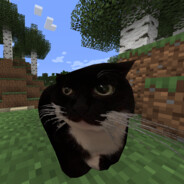 Cat427
