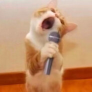 别骂我我是菜狗