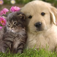 如果你能相信我