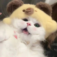 一口仨小孩儿噢