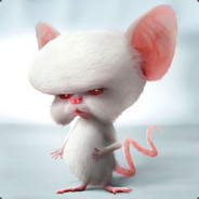 The Brain
