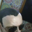 Dracula&#039;s Hairline