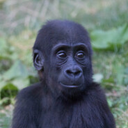 9>2丰 GVR26M3N7ALI7Y