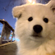 没关系我吮过了