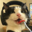 The underground cat