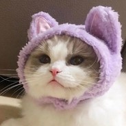 今天偷吃小电了吗